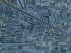 Blue field (Landscape) - cache image