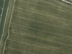 Crop circle