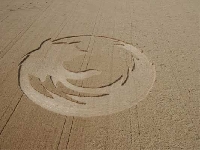 Firefox crop circle (Crop circle) - similarity