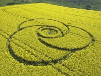 Crop circle (Crop circle) - similarity